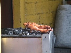 05-Grilled guinea pigs
